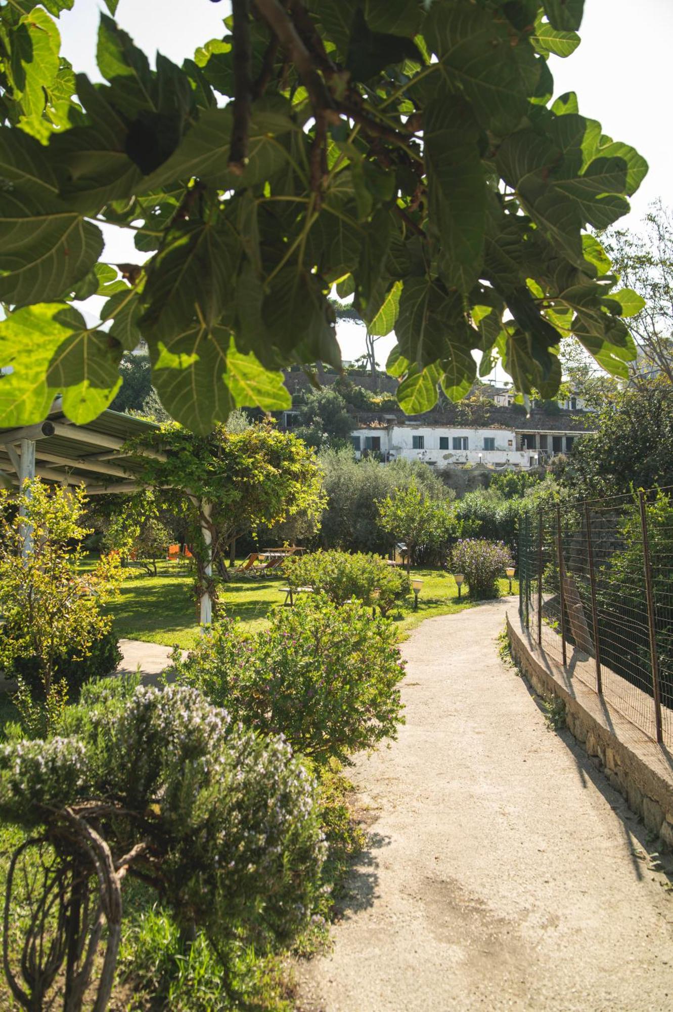 Hotel Park Victoria Forio di Ischia Kültér fotó
